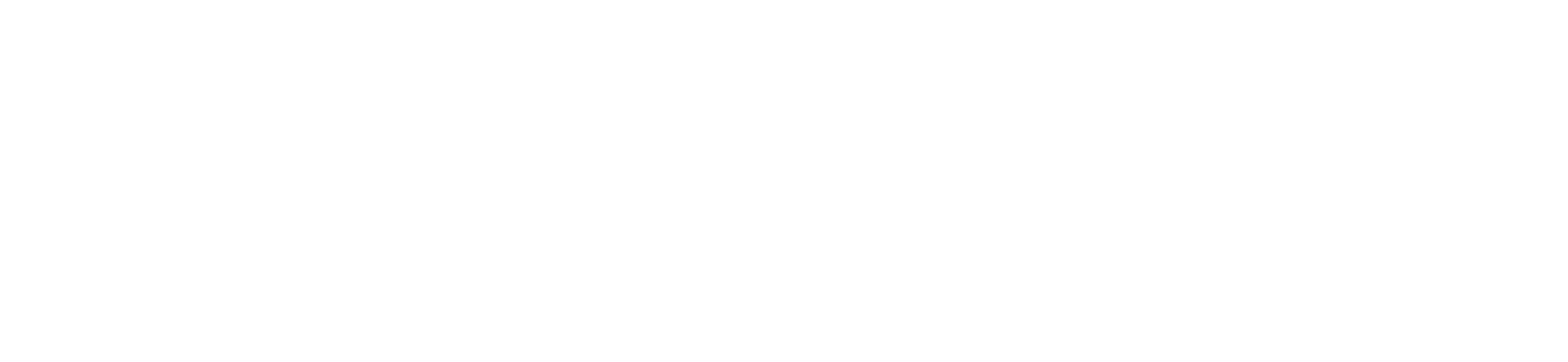 StelaTek